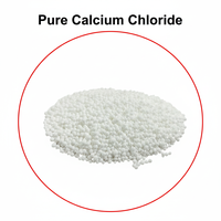 Déshumidificateur portable écologique de 500 ml au parfum océanique, boîte absorbante d'humidité intérieure jetable au chlorure de calcium haute performance