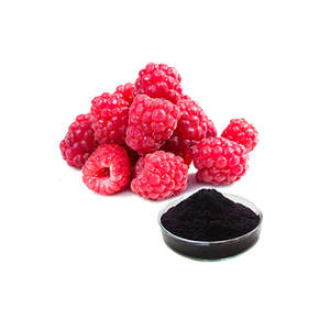 Extrait de framboise anthocyanine 20% 25% - Product Image 1
