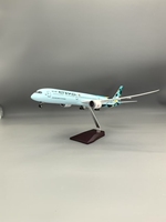 Modèle d'avion B787 de 47 cm, échelle 1:145, en résine, personnalisable, jouet Etihad pour les amateurs d'avions avec lumières LED