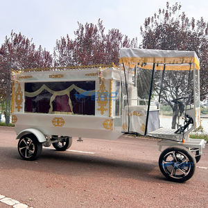 Новый Электрический Штора для похоронного Катафалка, специальный транспортный Электрический катафалк, автомобиль <span class=keywords><strong>CE</strong></span>, для продажи - Product Image 3