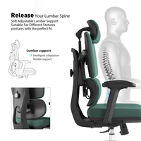 Chaise de bureau en mesh à dossier haut, chaise de bureau informatique avec support lombaire, appui-tête réglable, accoudoirs 6D, chaise de direction pivotante