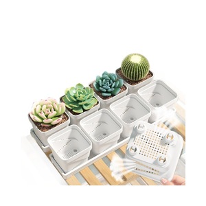 Pots à fleurs succulentes Qinfeng, ensemble blanc, petits pots en plastique avec plateau de drainage pour la décoration intérieure et le jardinage - Product Image 1