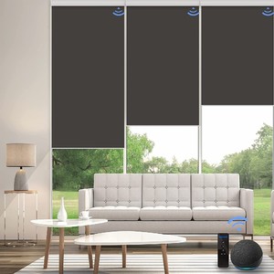 High Quality Alexa Smart <strong>Solar</strong> Roller Shades Indoor Electric Motorized Roller Blinds For <strong>windows</strong> - Product Image 4