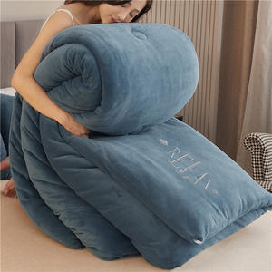 Classe a hiver couleur unie haut gramme Double face brodé lait velours courtepointes roi reine taille épaissie chaud doux couette - Product Image 3