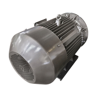 Moteur synchrone à aimants permanents WPDJ PMSM à haute efficacité pour laminoir, certifié CE