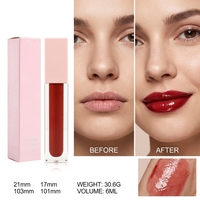 Gloss à lèvres minéral en gros sous marque privée, imperméable, teinté, liquide, repulpant, longue tenue, pour maquillage quotidien, faible MOQ