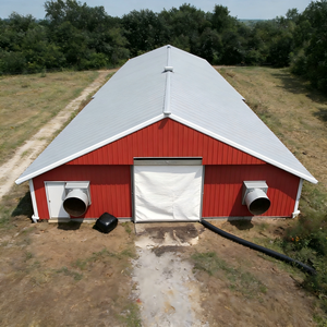 בית כלוב עוף שכבה אוטומטית בית עבור חוות עופות, חם לטבול מגולוון, גודל מותאם אישית זמין, משלוח מהיר - Product Image 3