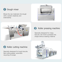 ORME-Machine de fabrication de biscuits mous pour le thé de boulangerie de Chine, ligne de production de biscuits fins