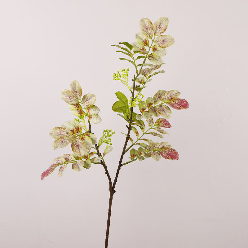 แดงเขียว