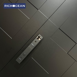 <span class=keywords><strong>Porte</strong></span> d'Entrée Principale de Luxe en Aluminium Coulé Noir, <span class=keywords><strong>Blindée</strong></span>, pour Villa, Sécurité Renforcée, en Métal - Product Image 3