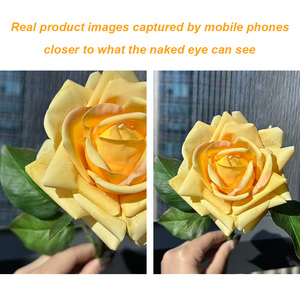 <span class=keywords><strong>ก้าน</strong></span>เดี่ยวสีเหลืองอ่อนปลายสูงดอกกุหลาบ<span class=keywords><strong>ดอกไม้</strong></span>ปลอมเหมือนจริงขนาด42ซม. สำหรับร้าน<span class=keywords><strong>ดอกไม้</strong></span>งานแต่งงานบ้านการจัด<span class=keywords><strong>ดอกไม้</strong></span>ในชีวิตประจำวัน - Product Image 2