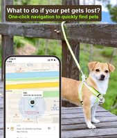 Dispositivo de seguimiento inalámbrico de plástico duradero de gran venta, localizador IP67 impermeable de largo alcance para niños, mascotas, coches, posicionamiento GPS 4G