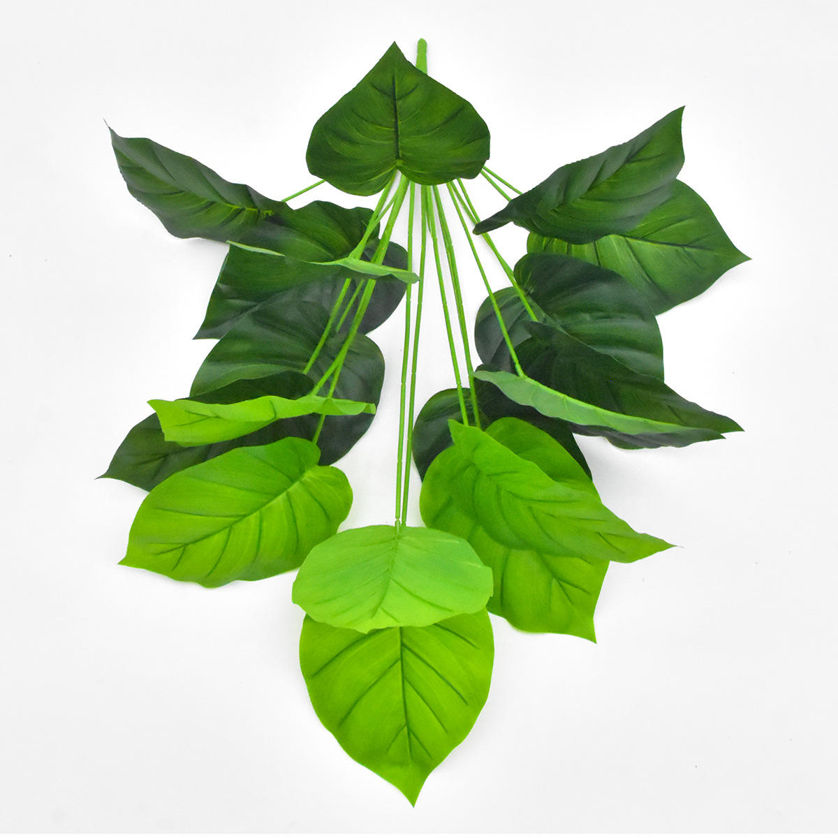 3 # สีเขียว24ใบ75ซม.