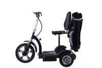 Trottinette Électrique Pas Chère, Prix Avantageux, Scooter Électrique Haut de Gamme