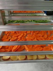 Prix du lyophilisateur pour petit laboratoire domestique, flacon de venin de scorpion - Product Image 6