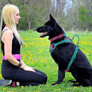 Fournitures pour animaux de compagnie élégantes sans tirer harnais pour chien en néoprène doux, Clip avant personnalisé, gilet réglable de styliste pour chien de compagnie, harnais collier laisse - Product Image 5