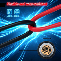 Câble solaire photovoltaïque 10AWG 12AWG en cuivre étamé double couche PVC, rouleau de 100 m, certifié TUV, pour panneaux solaires - Stock entrepôt US/UE