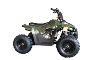 Chaîne de transmission automatique pour moto de course 36V, ATV TVS Tao Motor MUDHAWK110, Moto 4 roues 110, Moto 4 roues 125