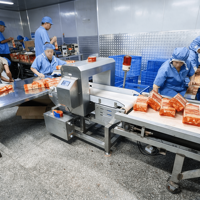 Detektor Logam Konveyor Industri untuk Makanan, Tepung, Makanan Beku, Mesin Inspeksi Roti, Detektor Sesuai HACCP