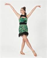 Robe de danse latine OEM ODM pour femme, imprimé zèbre et léopard vert, dos nu, ourlet à franges, pour compétition de Cha Cha Salsa