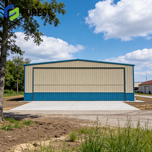 Hangar de Acero Prefabricado Personalizado y Aislado para Construcción de Aeropuertos a Precio Competitivo - Product Image 1