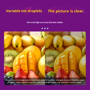 Stampante Inkjet Fanxing FX6050UV Nuova con Testina di Stampa DX5 ad Alta Definizione, Stampante Roll-to-Roll Automatica per Etichette in Cristallo <span class=keywords><strong>e</strong></span> <span class=keywords><strong>Telefoni</strong></span> - Product Image 4