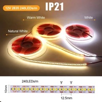 Bande lumineuse à LED DC12V/24V, IP20/IP65/IP67led pour carré, jardin, bar, parc, extérieur, éclairage intérieur, bande lumineuse 240LED/M
