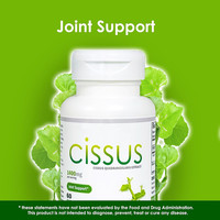OLLI OEM/ODM/OBM Extrait de Cissus Quadrangularis pour le soutien des articulations osseuses, capsules d'extrait de Cissus favorisant la force osseuse, capsules de Cissus