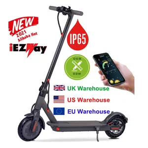 Groothandel kid 3 10 scooter-2021 Iezway Alibaba Drop Verzending Volwassen Koop Mobiliteit Goedkope Electrico E Zelfbalancerende Voet Kick Elektr Elektrische Scooters