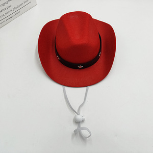 Chapeau de cowboy occidental Baboney avec motif de dessin animé pour fête d'anniversaire, protection solaire toutes saisons, mini chapeau en feutre pour chiens et chats - Product Image 4