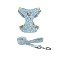 Harnais d'entraînement réglable pour chien, imprimé, anti-traction, avec logo personnalisé, en maille respirante, et laisse pour la promenade en extérieur des animaux de compagnie