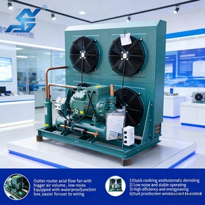 Unidad de Condensación de Baja Temperatura de 10HP, Unidad de Refrigeración Enfriada por Aire para Cámaras Frigoríficas y Congeladores -25°C ° C - Product Image 5