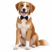 Nœud Papillon Classique Noir et Blanc Zheng Xin en Polyester pour Animaux de Compagnie (Petits Chiens et Chats) – Accessoire Décoratif pour Mariages et Fêtes