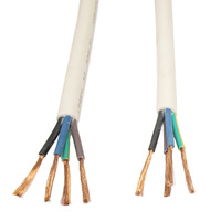 RVV Kupfer freie Probe 2 3 4 5 Adern 2, 5 mm2 4 mm2 6 mm2 10 mm2 16 mm2 PVC-Kabel mit flexiblem Kabel