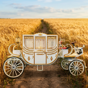 Chariot de balade électrique sans chevaux, style Cendrillon, avec cadre en acier blanc et doré, pour mariage, design simple et tendance, en promotion - Product Image 1