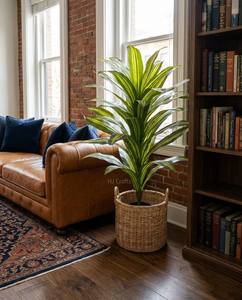Pianta Artificiale Dracaena 150cm 5ft, Finta Pianta di Mais con <span class=keywords><strong>Foglie</strong></span> Variegata Gialla, in Plastica Ecologica, per Decorazione Interna Domestica - Product Image 3