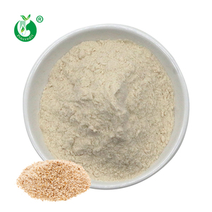 Số lượng lớn giá thực phẩm lớp hữu cơ tự nhiên tinh khiết Psyllium trấu bột hạt