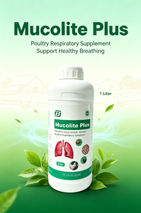 Soluzione Orale Espettorante Veterinaria Antitussiva Liquido per la Rimozione del Muco per Suini, Ruminanti, Pollame - Trattamento per la <span class=keywords><strong>Tosse</strong></span> in Allevamenti - Product Image 2