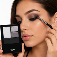 Palette de fards à paupières lumineux métalliques à quatre compartiments, couleur unique, personnalisable OEM/ODM, résistante à l'eau, longue tenue et anti-bavures