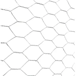 镀锌鸡笼铁丝/六角形铁丝网/1/2英寸六角形铁丝网