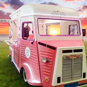 Carrello Mobile per Alimenti in Acciaio Inox Standard Europeo, Furgone per Fast Food, Caffè e Gelati, Rimorchio per Venditori Ambulanti di Frutta - Product Image 1