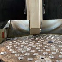 Machine de perçage CNC automatique de type portique Raintech pour le perçage de plaques de tubes d'échangeurs de chaleur et de chaudières