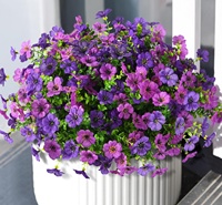 Fleur de marguerite artificielle HSJ en fil métallique, réaliste, pour décoration intérieure et extérieure, haute durabilité, tendance, prix de gros usine