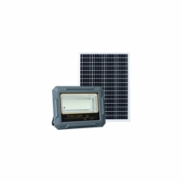 Projecteur solaire de jardin LED COB 100W/500W, IP65, certifié CE, contrôle de la lumière + détection radar, coque ABS, 60000LM, angle de faisceau 70*140