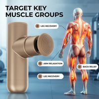 Pistolet de massage personnalisable OEM en aluminium avec moteur sans balais, fonction musicale, contrôle de la minuterie et 4 têtes de massage pour thérapie corporelle complète