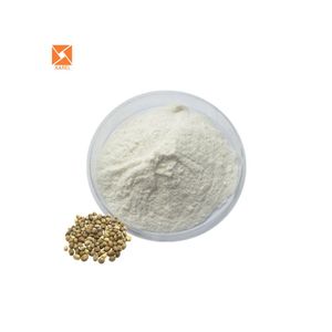 Kräuter extrakt in Bio-Qualität Hanf samen extrakt Pulver protein 99% - Product Image 4