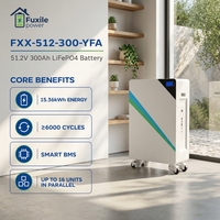 Batterie de stockage d'énergie solaire LiFePO4 mobile 51,2 V 10-20 kW avec roulettes, écran LCD, montage mural, empilable, BMS, extension parallèle