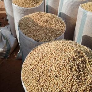 Npk 15 15 15 Npk 15-15-15 Granular Npk <span class=keywords><strong>1515</strong></span> 15 <span class=keywords><strong>Fertilizante</strong></span> compuesto Agricultura 151515 Engrais Agricole Precios 50kg Bolsas (A) - Product Image 2