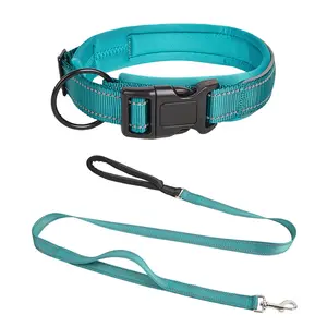 Reflecterende Halsband En Leiband Set Met Veiligheidsborgsluiting Nylon Pet Kragen Verstelbaar Voor Kleine Middelgrote Grote Honden 4 Maten