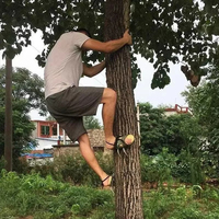 Pointes d'escalade en acier pour poteaux, outil d'escalade d'arbres pour chaussures de chasse, outil simple pour la cueillette de fruits et l'observation